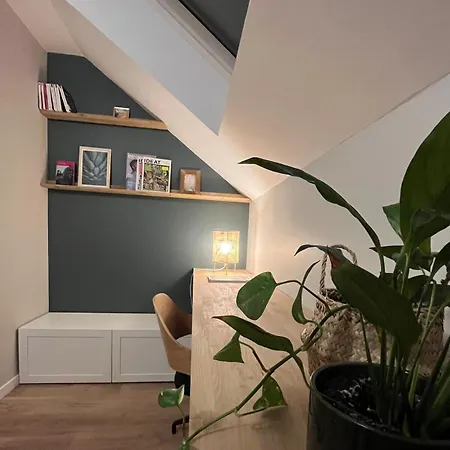 Le Triplex De L'architecte # Centre De 公寓 *